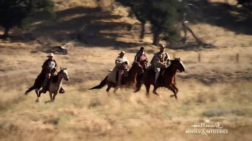 Liebe trotzt dem Sturm Bild 5