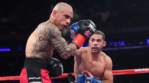Miguel Cotto vs. Sadam Ali Bild 3