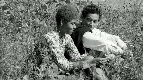 Guns of the Trees Bild 2