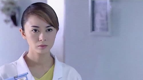 黑色郁金香 Bild 1