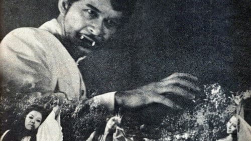 แก้วขนเหล็ก Bild 1