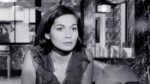 The Wild Affair Bild 1