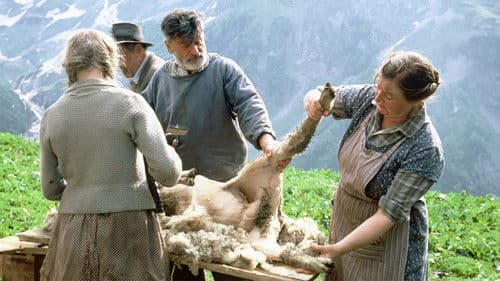 Der schwarze Tanner Bild 2