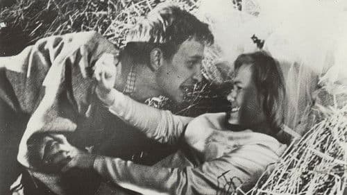 Die schwedische Hochzeitsnacht Bild 1