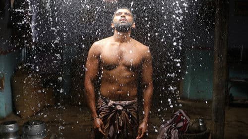 பைசன் காளமாடன் Bild 4