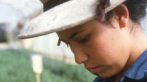 Love, Women and Flowers Bild 3