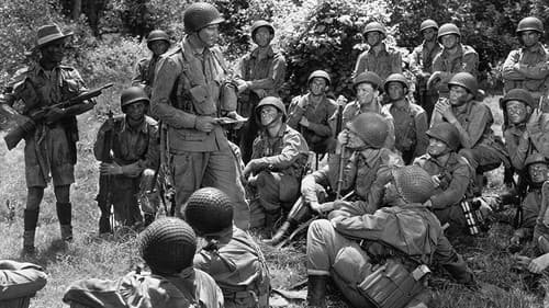 Der Held von Burma Bild 3