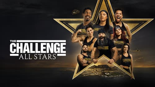 The Challenge: All Stars Bild 6