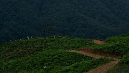 지난 여름 Bild 1