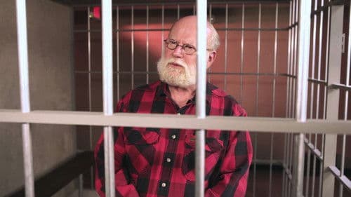 Ein Wunder zur Weihnachtszeit Bild 3