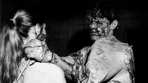 Within the Woods Bild 1