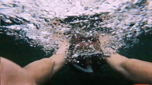 Pepe taucht ab Bild 3