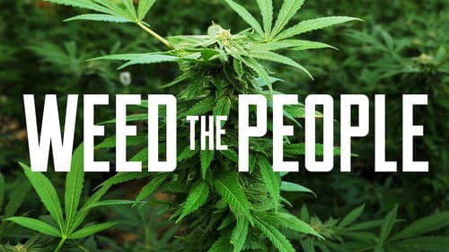 Weed the People Bild 6