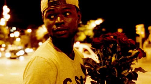 Wenn das Haus brennt Bild 3