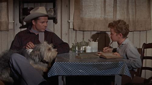 Der weiße Teufel von Arkansas Bild 5