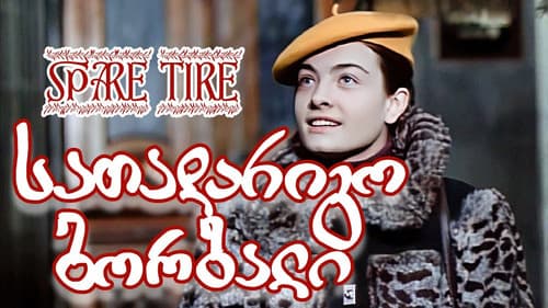 სათადარიგო ბორბალი Bild 1