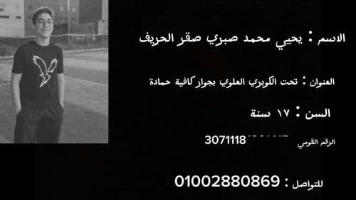 البحث عن يحيي صقر Bild 1