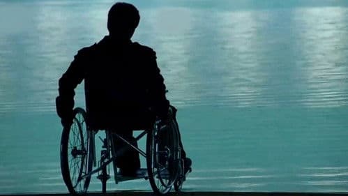 Feliz Ano Velho Bild 2