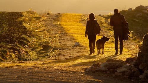 Emerald City - Die dunkle Welt von Oz Bild 5