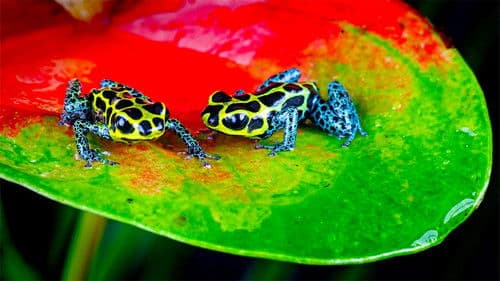 Naturparadies Bild 1