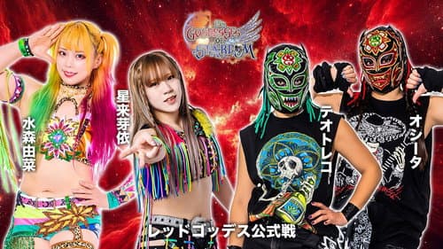 第15回 ゴッデス・オブ・スターダム ～タッグリーグ戦～ in SAPPORO Day1 Bild 5