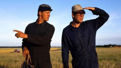 Macken - Roy's & Roger's Bilservice Bild 1