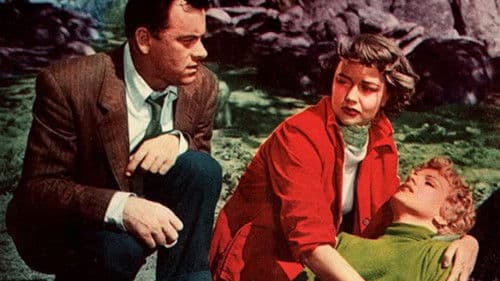 Security Risk Bild 1