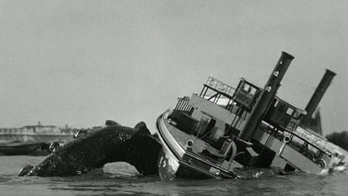 Das Ungeheuer von Loch Ness Bild 5