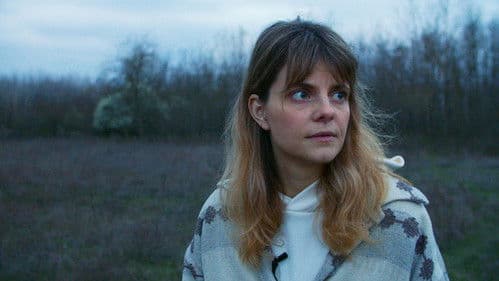 Jimmy Jaguár Bild 3