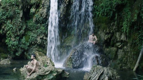 Tots els camins de Déu Bild 1