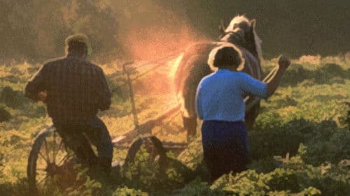 Bondens tid på jorden Bild 1