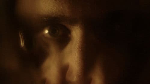 You Little Monster Bild 1