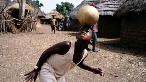 Bando und der goldene Fußball Bild 3