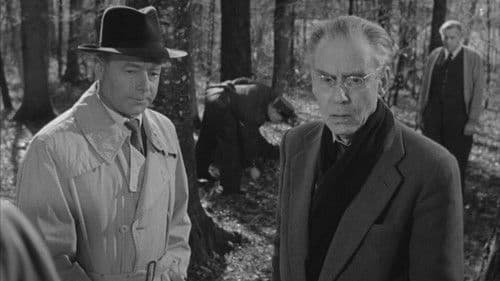 Es geschah am hellichten Tag Bild 1