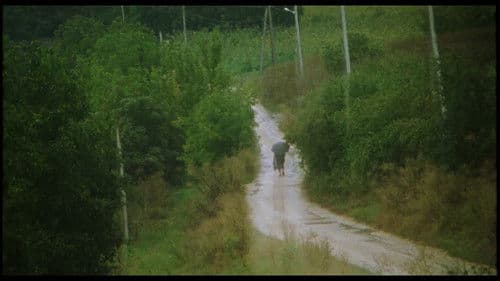 Adentro mío estoy bailando Bild 8