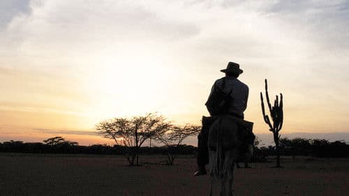 Die Reisen des Windes Bild 2