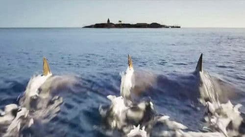 Deep Blue Sea 3 Bild 8