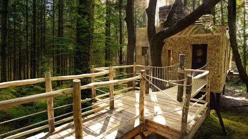 You Live in What? International Bild 1