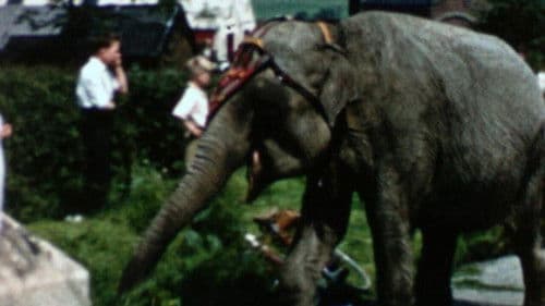 Alvey: Derbyshire Customs Bild 1