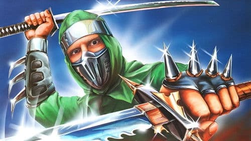 Die Herausforderung der Ninja Bild 2