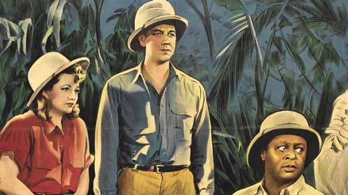 Law of the Jungle Bild 1
