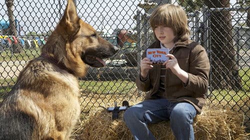 Tierisch Cool - Ein Hund in New York Bild 2