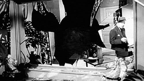 Gardenia - Eine Frau will vergessen Bild 3