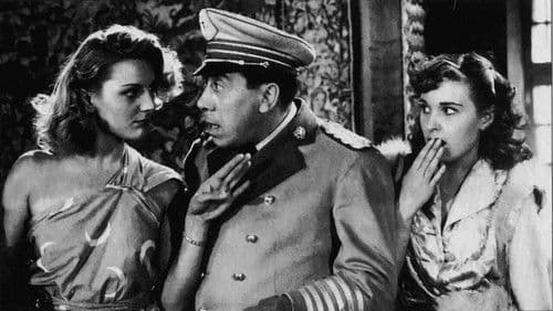 Der unfreiwillige Fallschirmjäger Bild 2