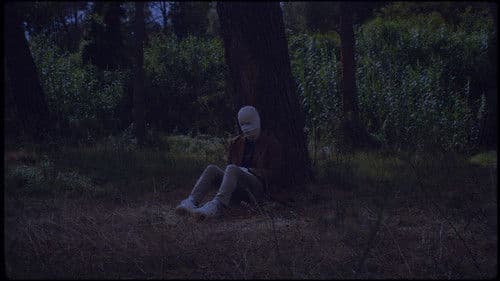 Tigre Místico Bild 7