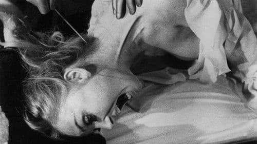 Der schwarze Leib der Tarantel Bild 6