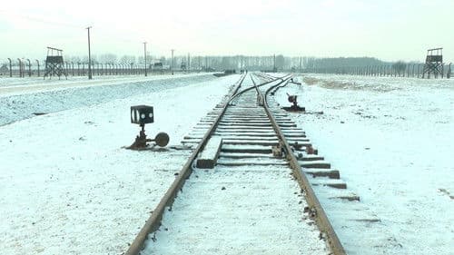 Mina 19 876 steg i Auschwitz / Birkenau Bild 1