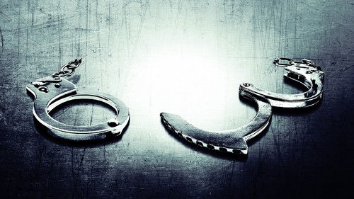 Accused: Guilty or Innocent? Bild 1