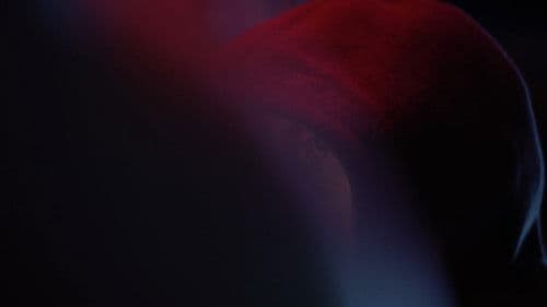 The Choice - The Risks of Web Democracy Bild 1