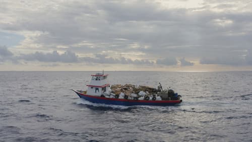 Matter Out of Place Bild 4